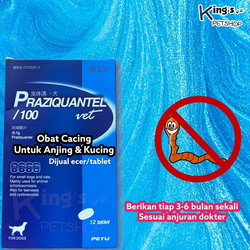 PRAZIQUANTEL OBAT CACING / PER 1 TABLET / Obat Cacing Untuk Hewan / Kucing Dan Anjing / Obat Cacing 