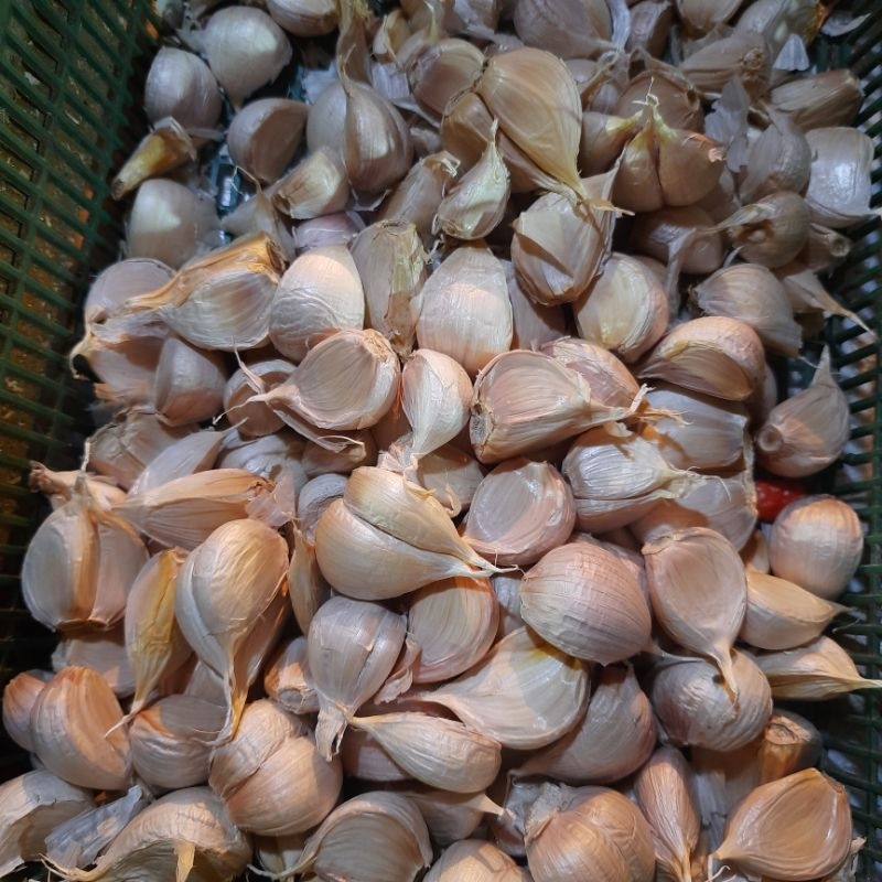 bawang putih kating 1 kg