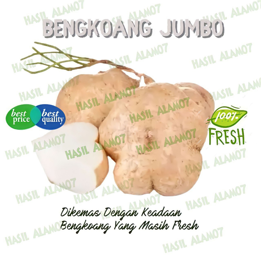 

Buah Bengkoang Super jumbo Segar Fresh 1 Kg Bangkuang