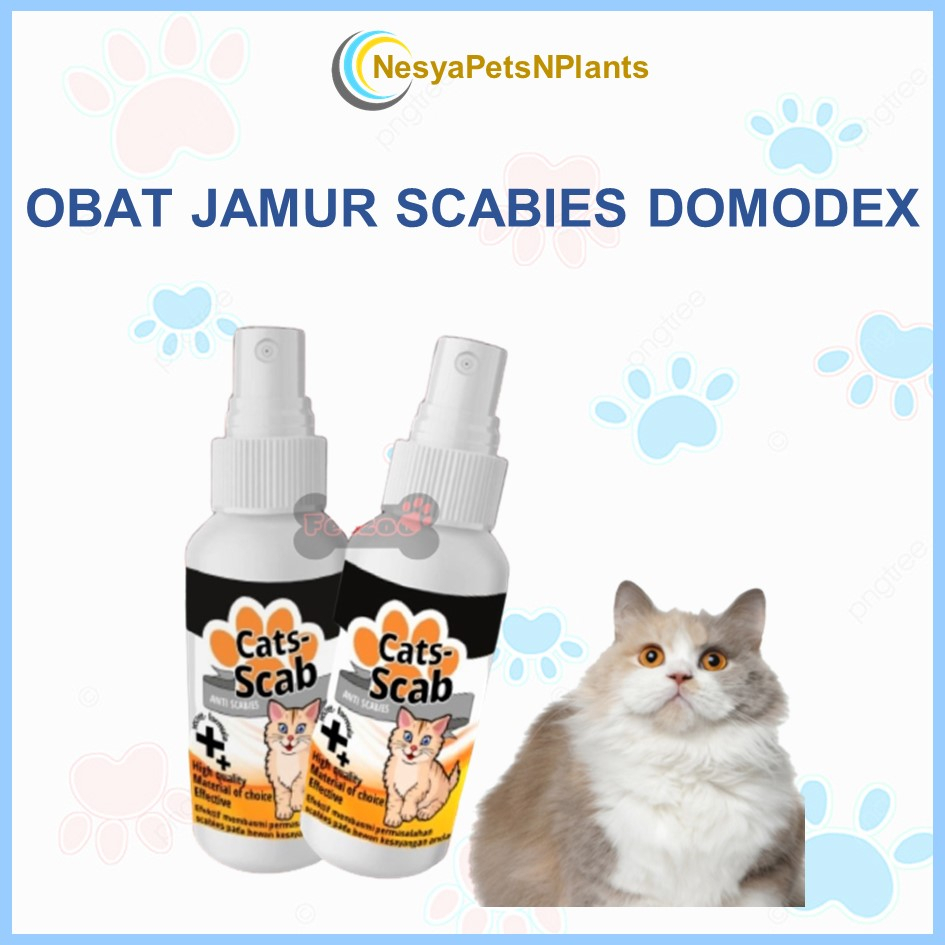 CATS-SCABS Obat Jamur Kucing Scabies Demodex Impetigo Jamur Kutu Parasit Cacing Hati Gatal Kulit ANTI SCABIES