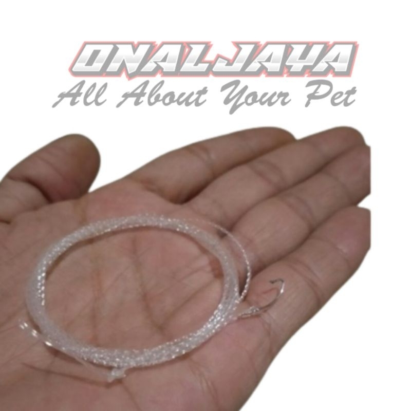 urek belut ukuran kecil