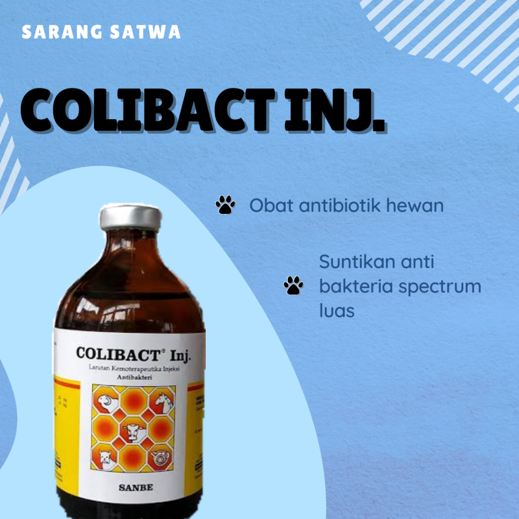 COLIBACT INJEKSI SANBE ANTIBIOTIK HEWAN DIARE PILEK BATUK SAPI,KAMBING,DOMBA,KUCING,ANJING