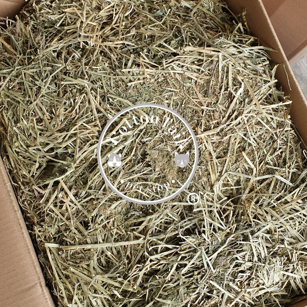 Wohlstand ALFALFA Hay 1 KG /  Makanan Kelinci Rumput Alfafa Hay Wohlstand 100% Organic