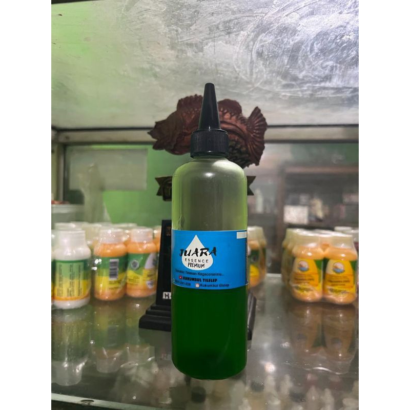 Essen ikan mas paling ampuh gacor, Essen Juara Melon daging usar lomba mancing ikan mas