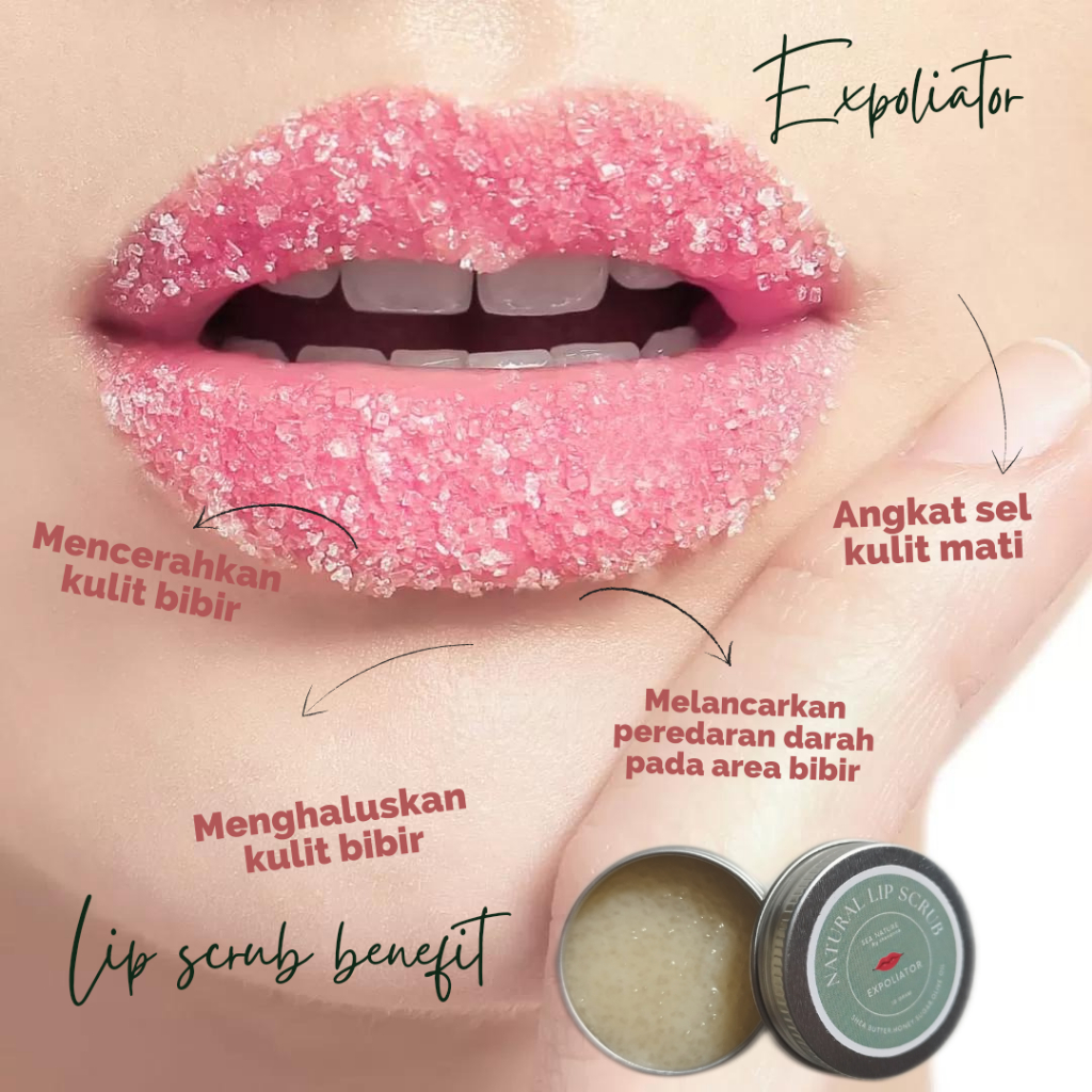 Lip Scrub (Scrub bibir) Exfoliator bibir treatment bibir alami sea nature