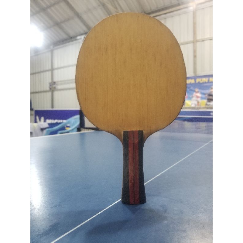 DONIC OVTCHAROV CARBO SPEED