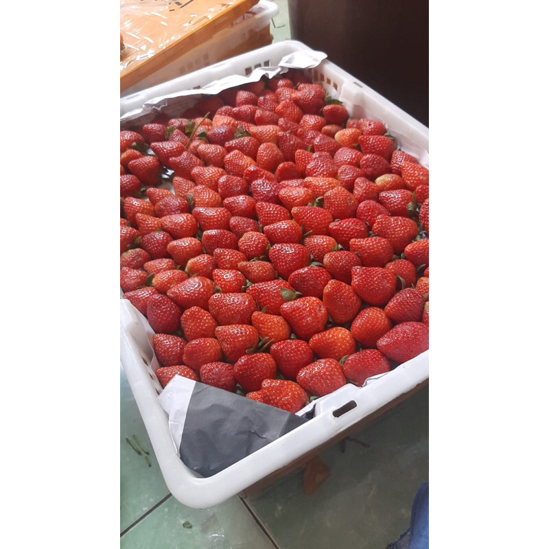 

RAFF STRAWBERRY FRESH