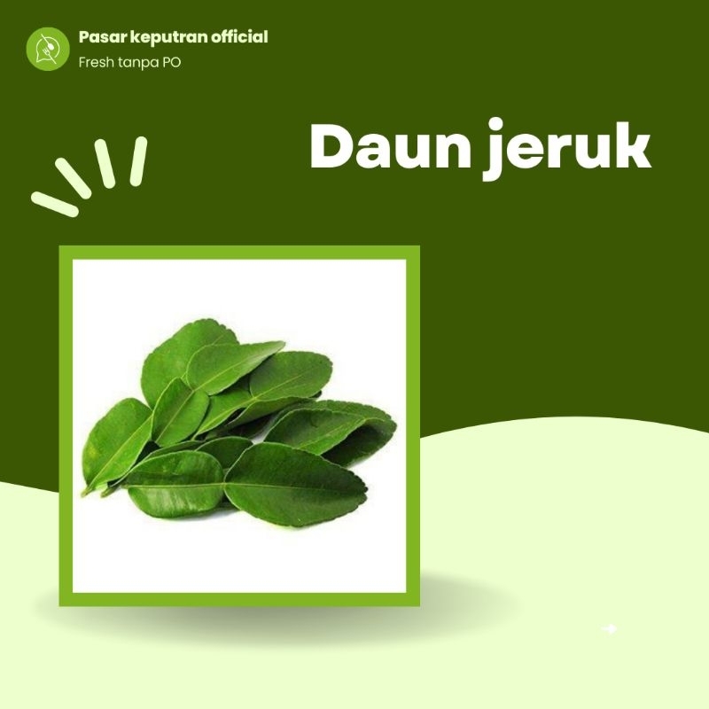 

Daun jeruk fresh, daun jeruk, daun jeruk segar