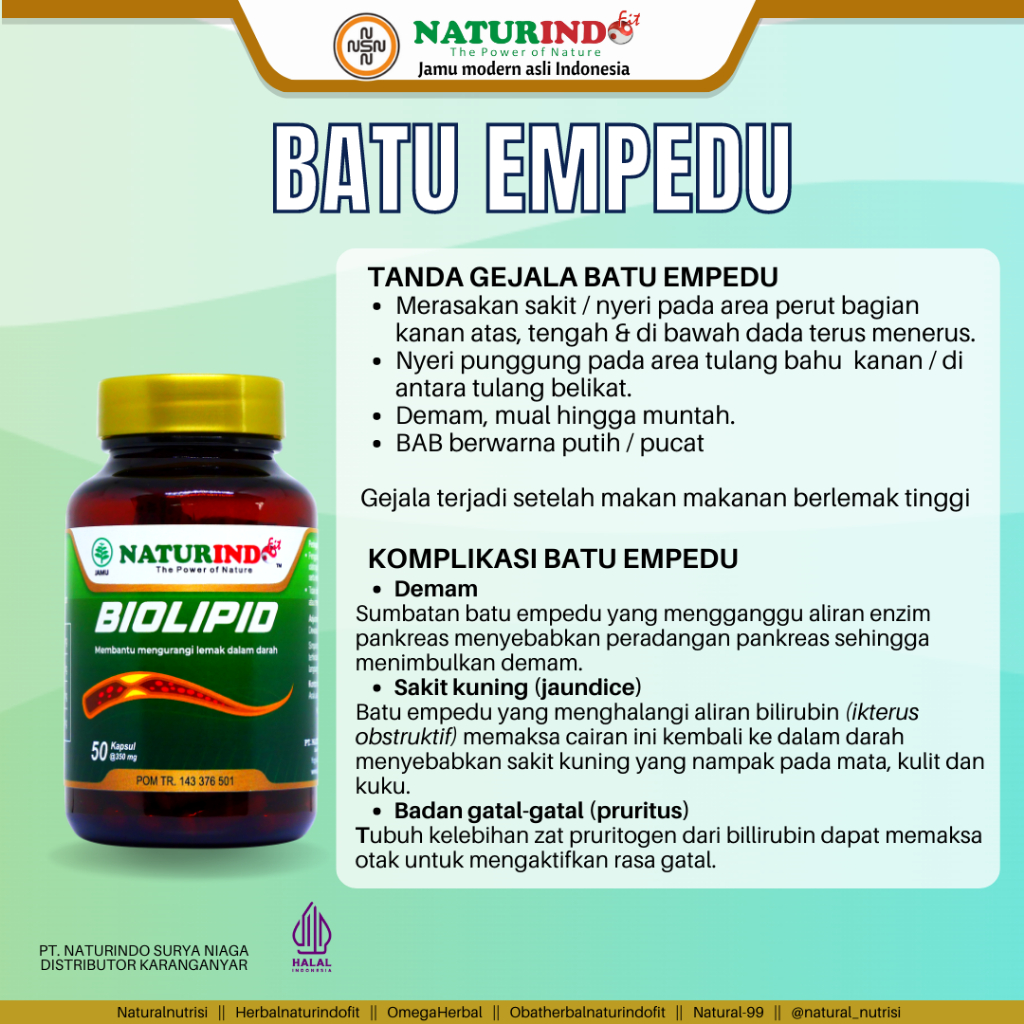 Obat Herbal Batu Empedu Daun Jati Cina Kapsul Jati Belanda Penurun Kolesterol Penurun Lemak Alami Biolipid