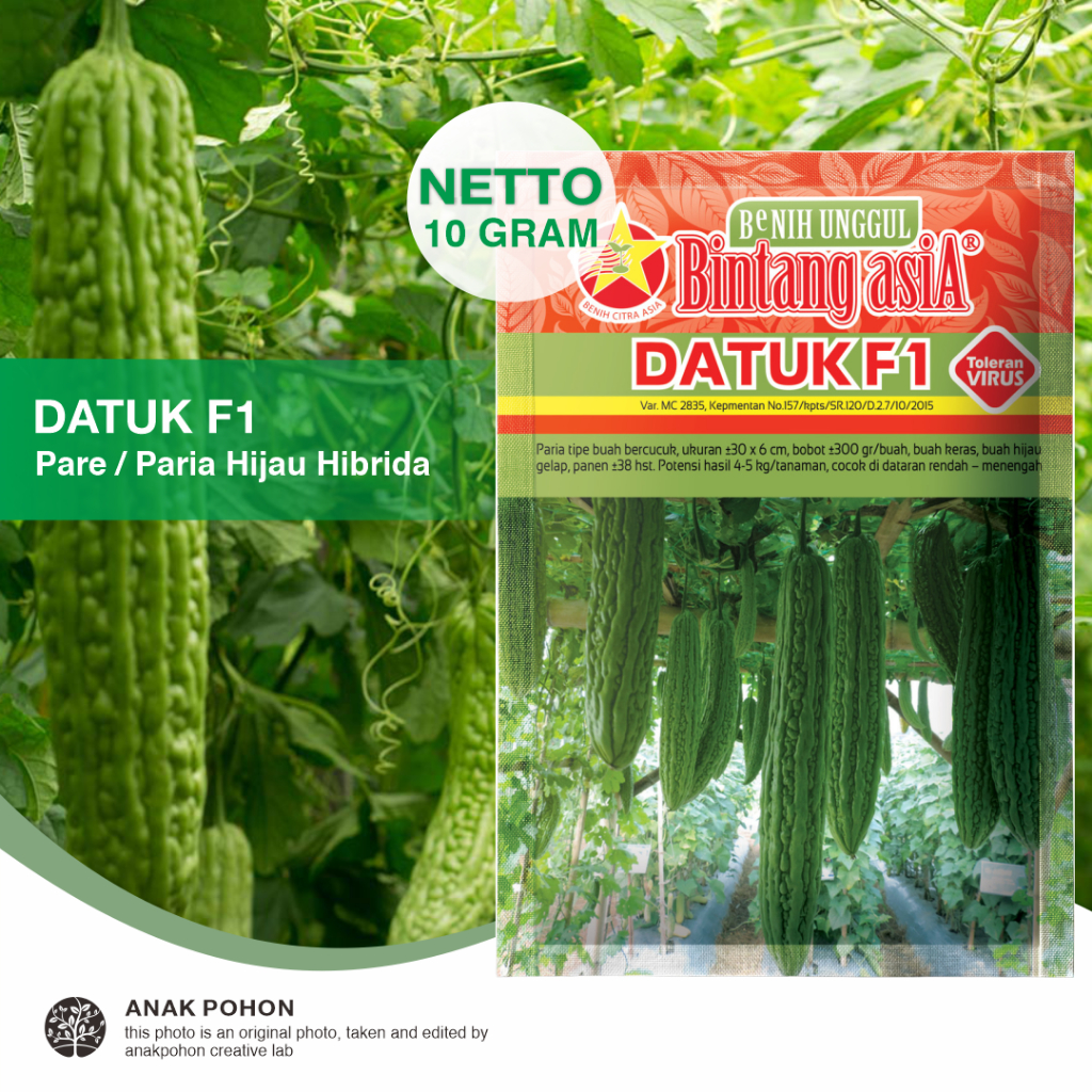 (1 PACK) Benih Pare DATUK F1 Paria Hijau Hibrida Seeds - BINTANG ASIA - 10 GRAM