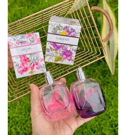 PARFUM ZARA EROPA ORIGINAL 90ML