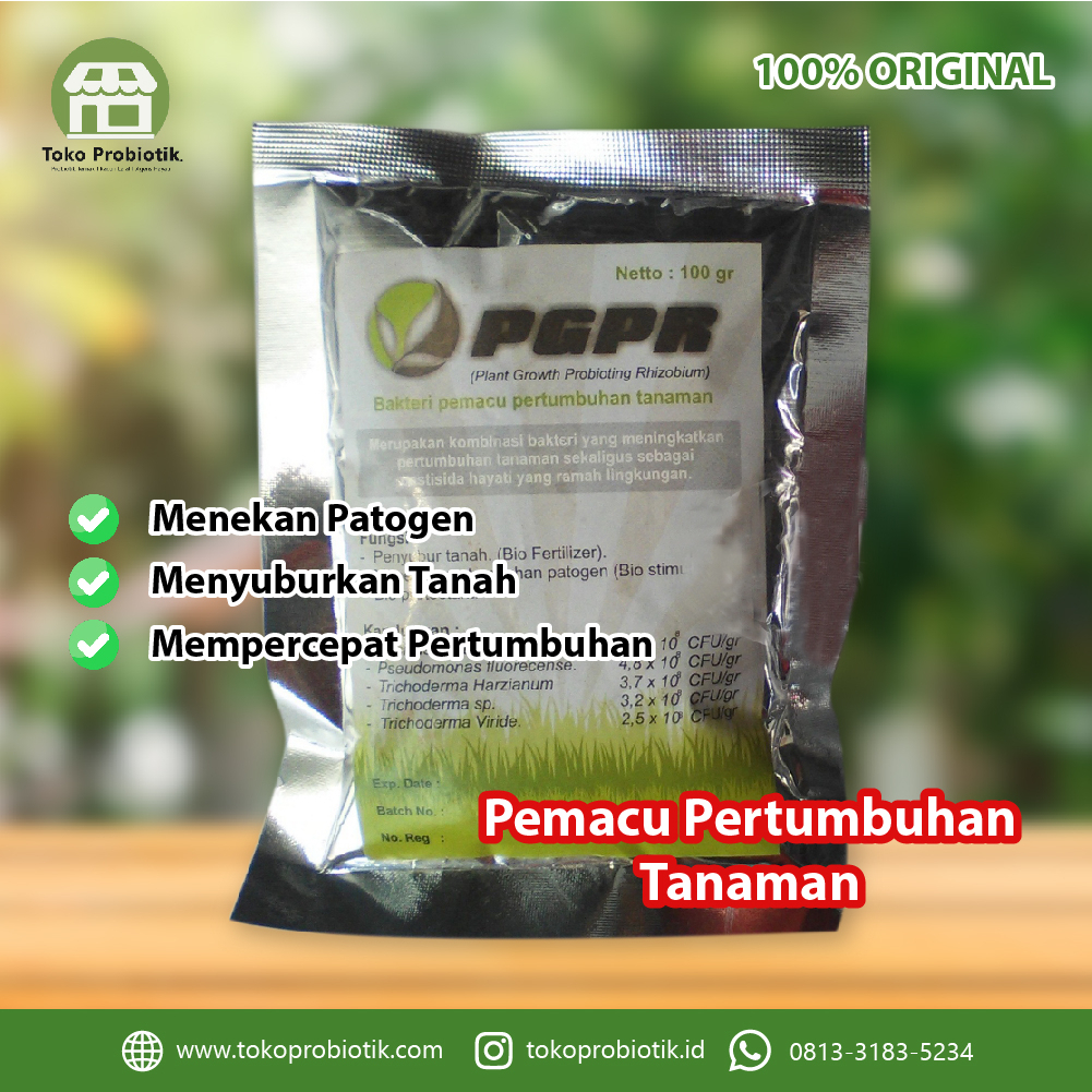 PGPR - Pupuk untuk Memacu Pertumbuhan Tanaman