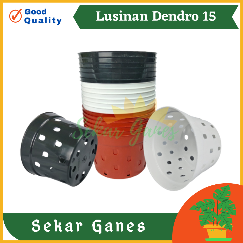 LUSINAN DENDRO 15 Putih Merah Bata Hitam Coklat Terracota Pot Lubang Banyak Samping Pot Poros Anggrek Aglonema