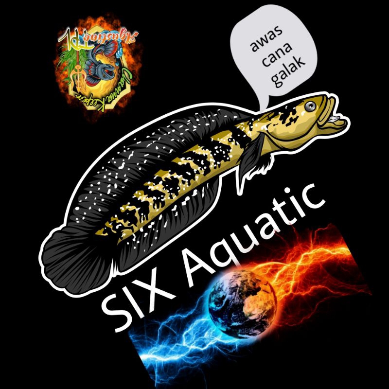 ikan cana asiatica ws gondrong