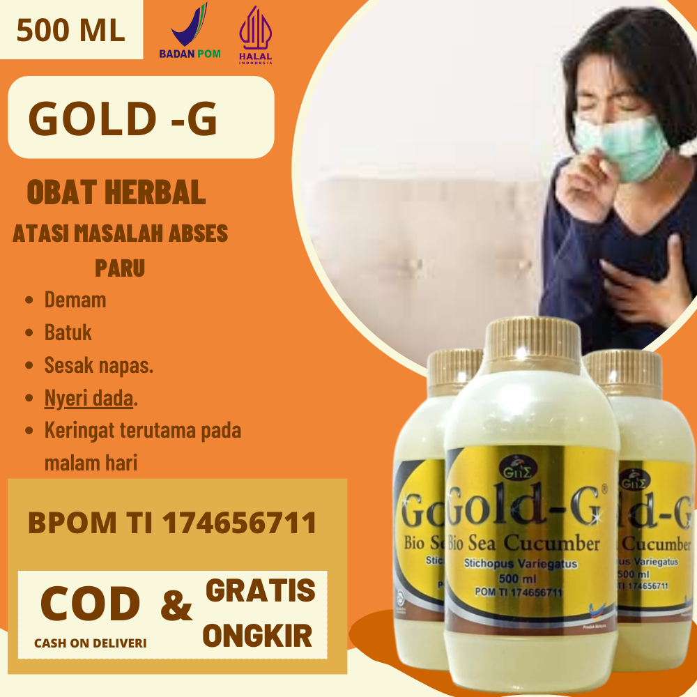 Jelly Gamat Obat Abses Paru Flek Paru Paru Sesak Nafas Nyeri Dada Batuk Berdahak Asma Infeksi Paru P