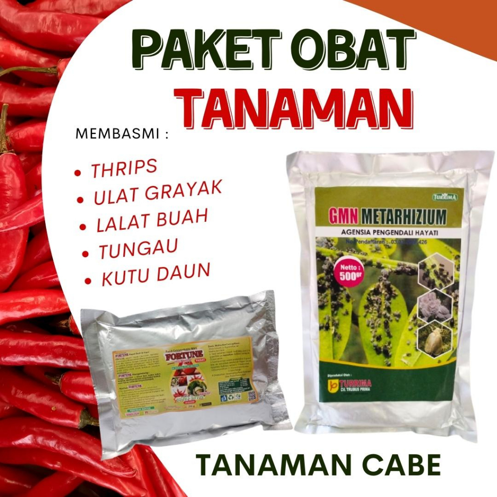Paket Obat Hama Lalat Buah Cabai, Obat Cabe Busuk Buah, Pupuk Pelebat Cabe