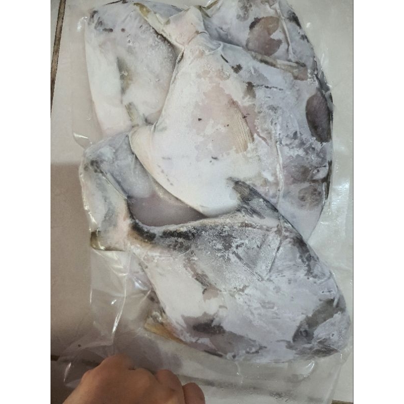

Ready Ikan Bawal Putih1kg @7-8ekor 1kg @5-6ekor Ready to cook Sudah dibersihkan
