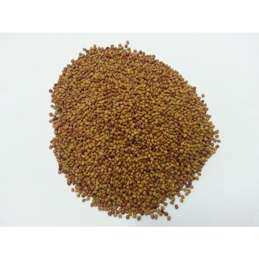 Kacangan CM (Calopogonium Mucunoides)