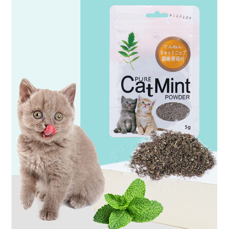 Catnip catmint kucing snack mint powder snack hewan peliharaan kucing pelengkapan