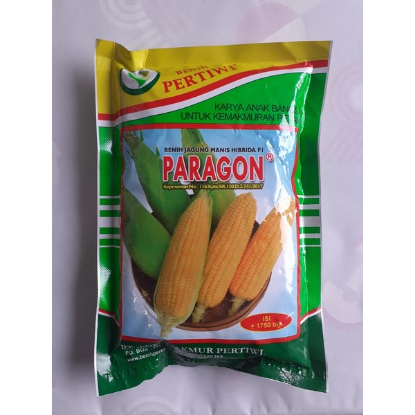 Benih Bibit Jagung Manis Hibrida F1 PARAGON - Benih Pertiwi