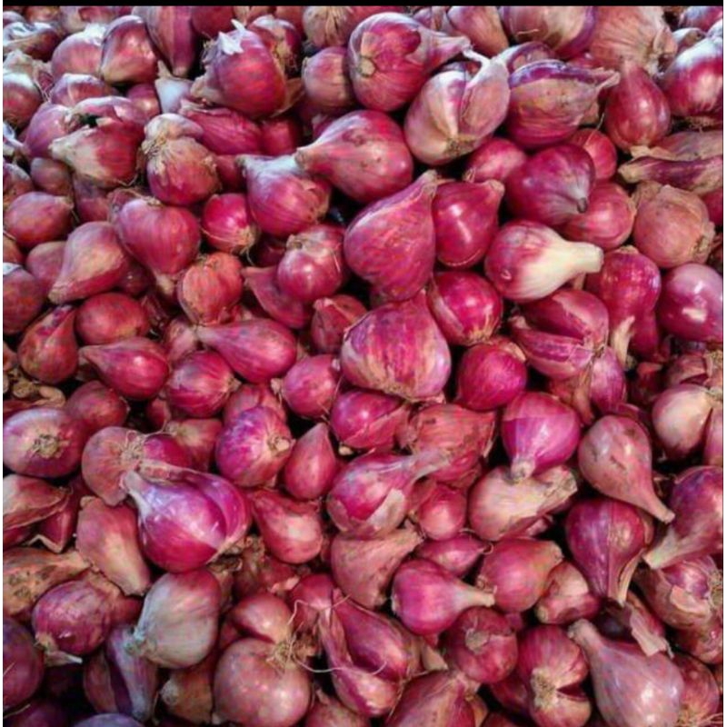 

Bawang Merah 250gr