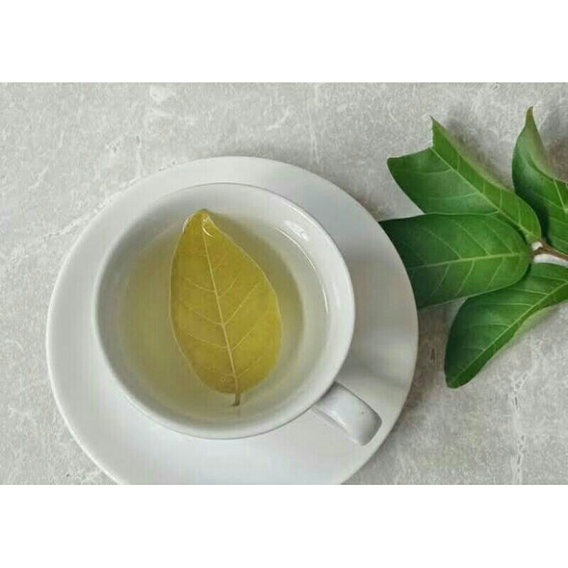 

Daun Rambutan segar 25 lembar | MURAHFRESH