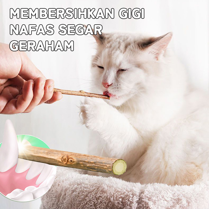 CATNIP Molar STICK MATABI - Catnip Snack Makanan Kucing Kitten Catnip Stick