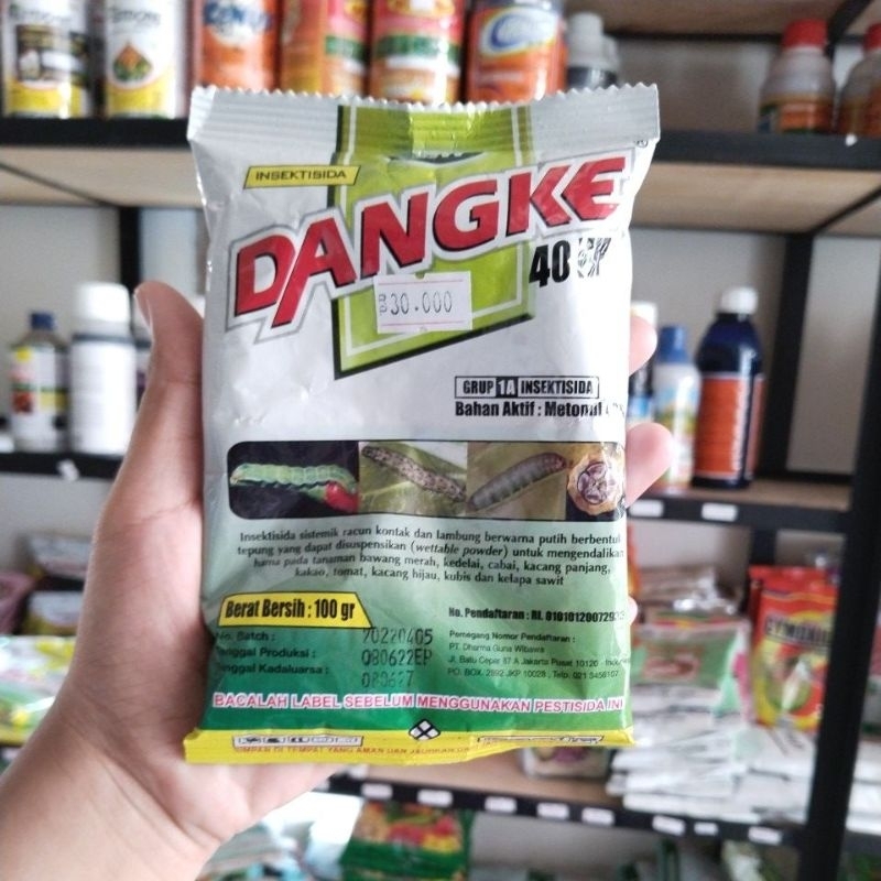 Dangke