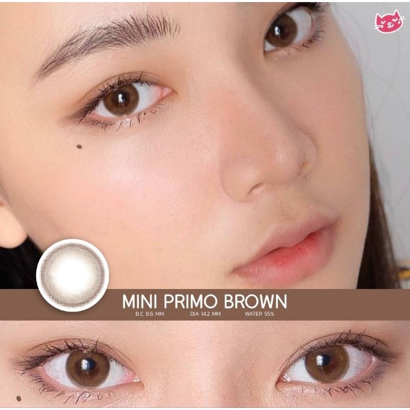 Softlens Kitty Kawaii Mini Primo Brown / Coklat Normal Minus Beda Minus