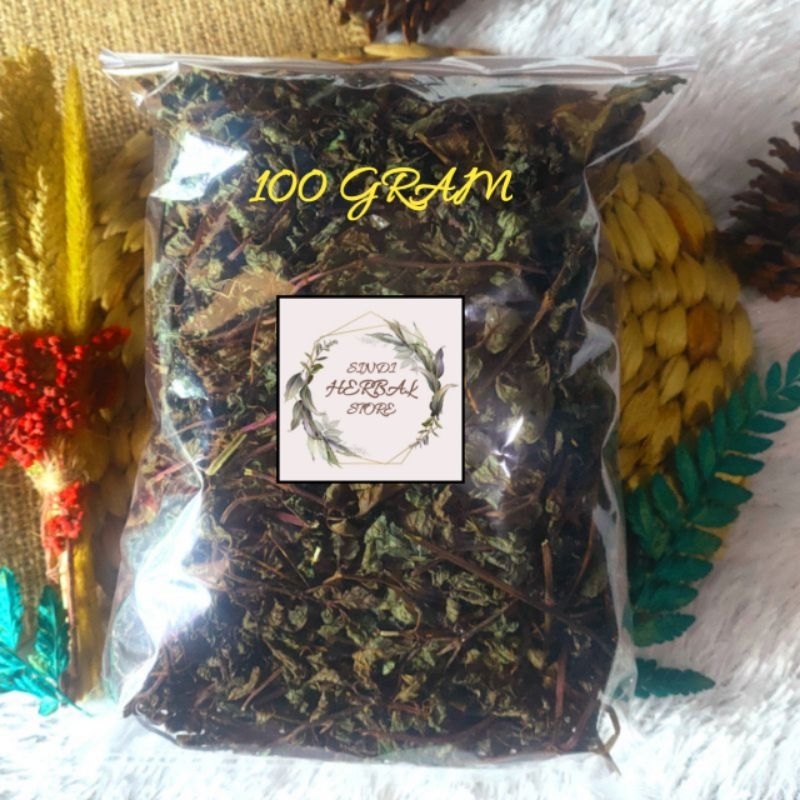 

Daun Mint Kering Premium Per 100 Gram