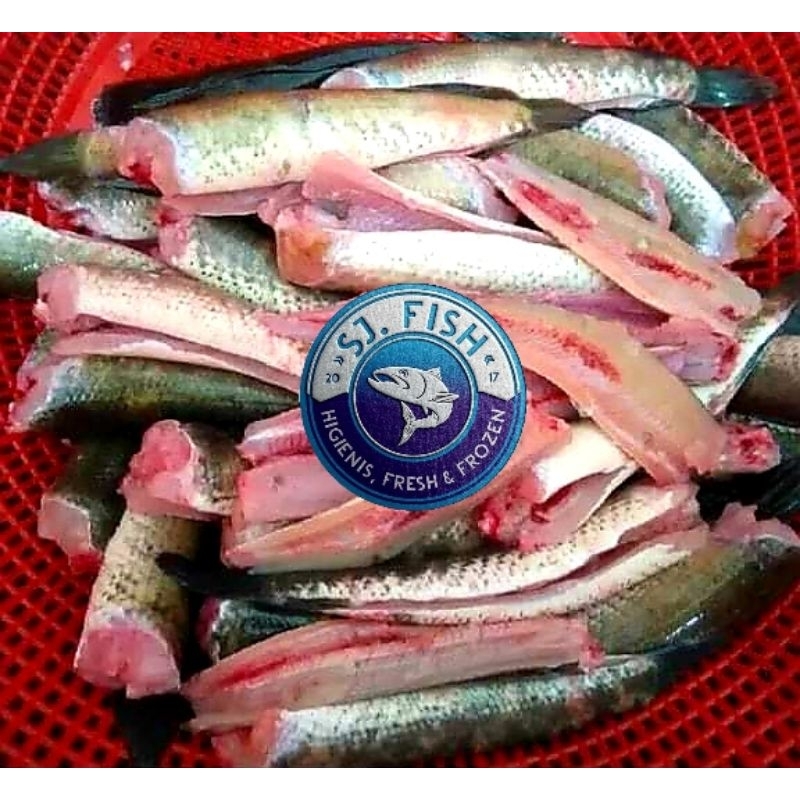 

DAGING IKAN GABUS FILLET 1 KG