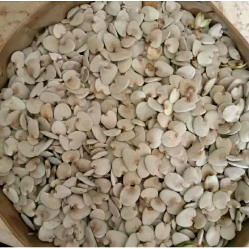 

30 Biji Jeruju Tua/Matang Fresh