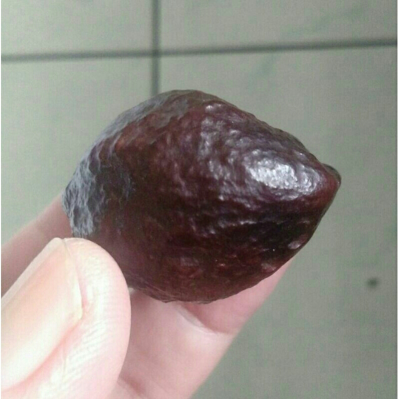 Kemiri Adu Muncang Adu Paket Empat Buah Kojo Garung