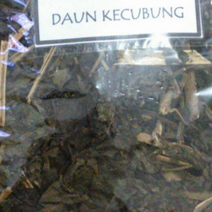 

DAUN KECUBUNG KERING HERBAL TERBAIK -250 GRAM