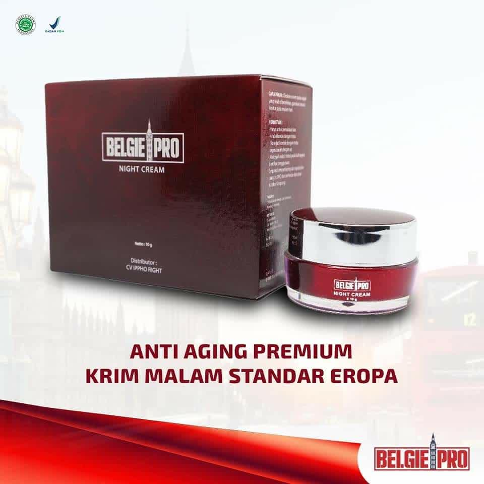 PAKET DAY CREAM &amp; NIGHT CREAM BELGIE PRO ORIGINAL