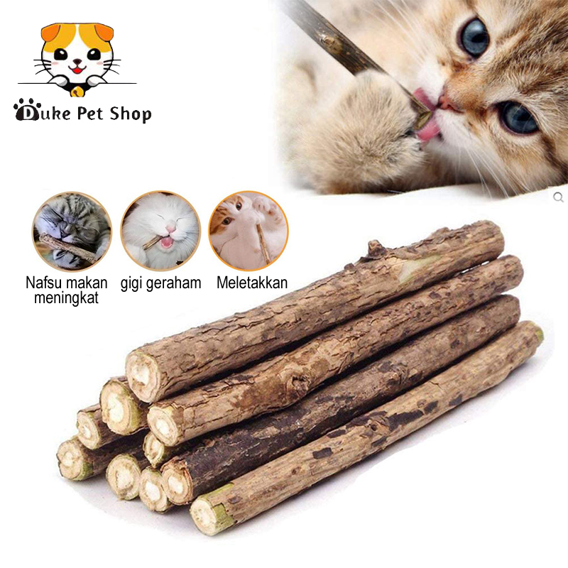 Catnip Stick Kucing Cemilan Kucing Matabi Snack Natural Matabi  Mainan Kucing