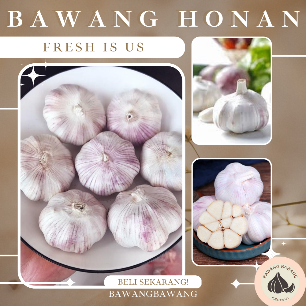 Bawang Putih Banci Honan 1 Kg Premium (tidak ada yang busuk)