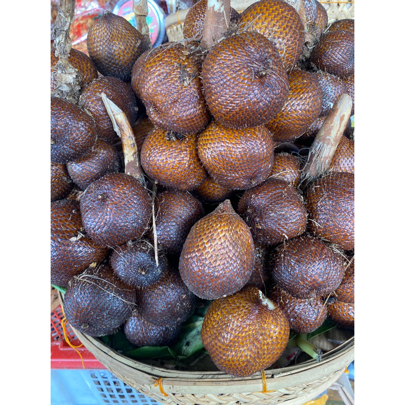 

Salak Bali Nangka Rasa Asam Manis 1kg