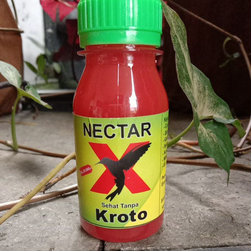 nectar-x kroto