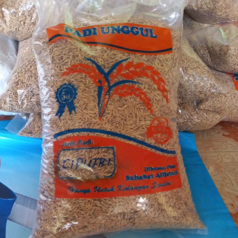 Benih Padi Ciputri 5 kg