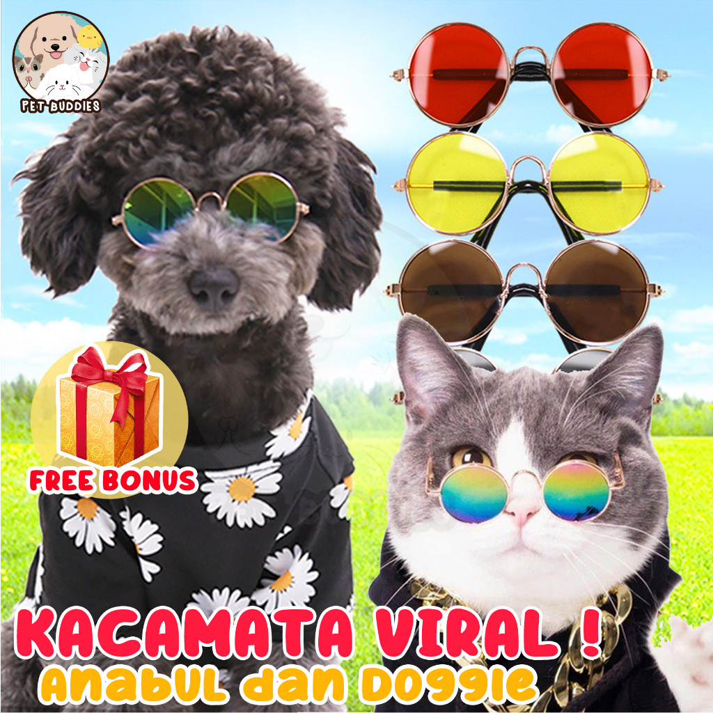 Kacamata Viral Pet Glasses Kucing/Anjing Lucu Foto