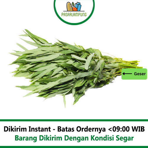 Daun Singkong Ubi Segar Per Ikat Pasar Lampung