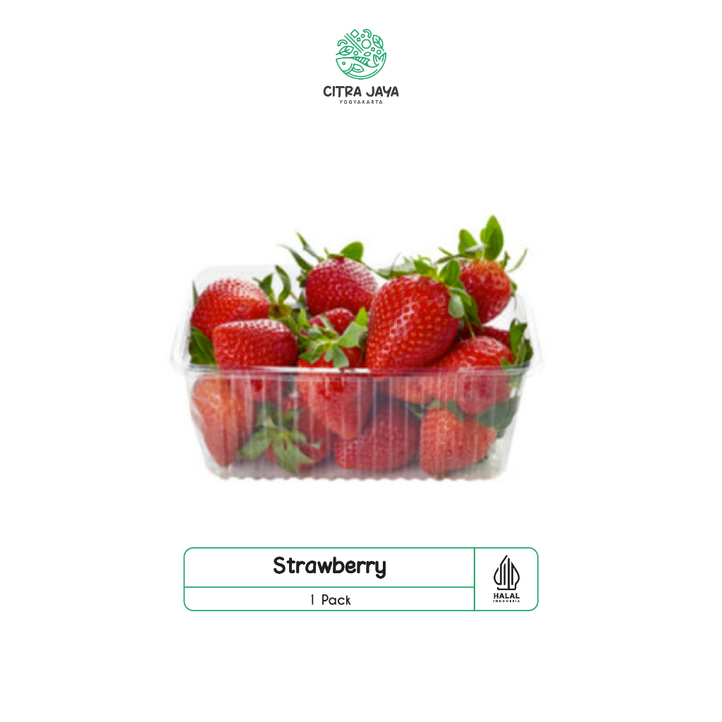 

Strawberry 1 Pack - Citra Jaya Yogyakarta