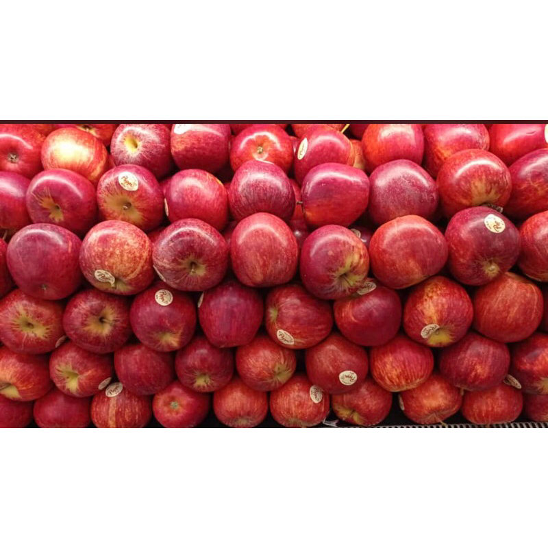 

Buah Apel Popy Import New Zeland 1 kg