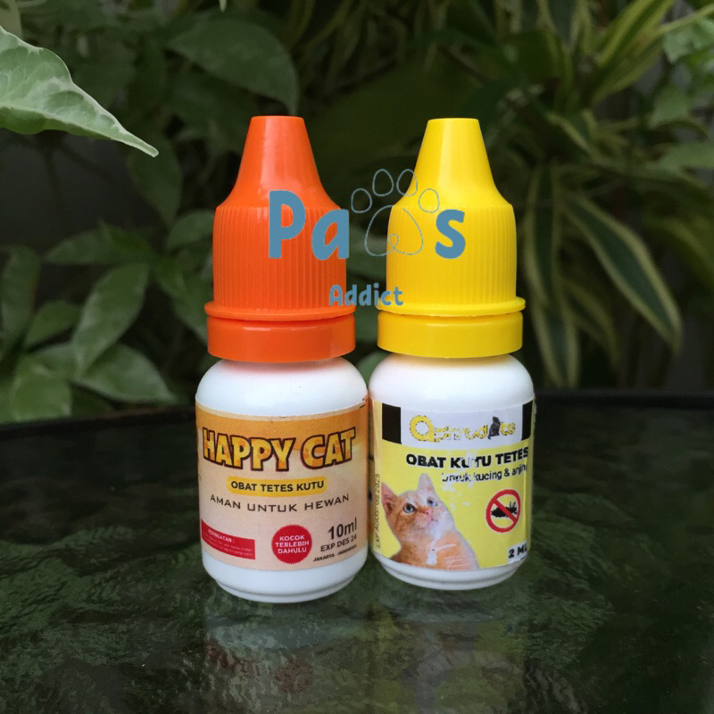 Obat Kutu Tetes Pembasmi Kutu Obat Kutu Kucing Anjing Aman Tetes Kutu