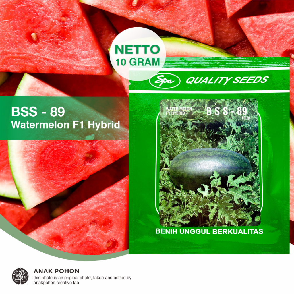 (1 PACK) Benih Semangka BSS - 89 Tipe Inul Watermelon F1 Hybrid - SPA Quality Seeds - 10 GRAM