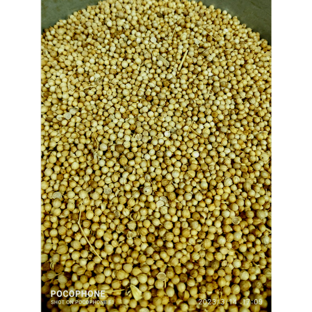 

Ketumbar/Tumbar/Coriander Kuning Original 500gr