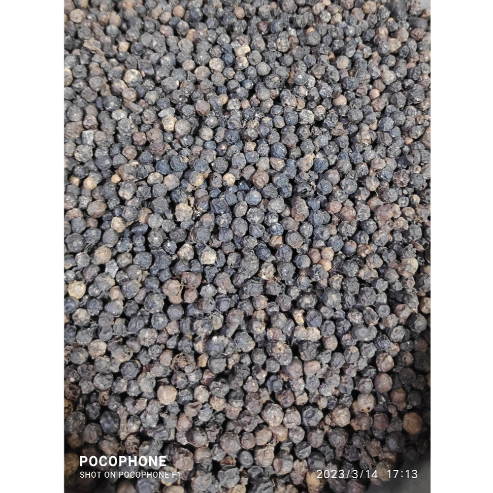 

Lada Hitam/Merica/Black Papper Original Berat 250gr