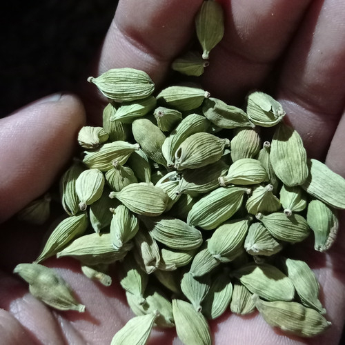 

Kapol India/Kapol Arab/Kapulaga Hijau/Gardamond 250gr