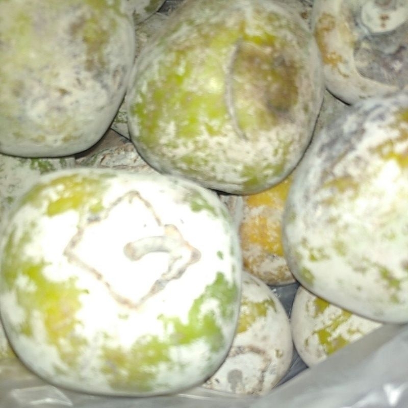 Kasemek Kesemek Buah Genit Persimmon segar kilogram
